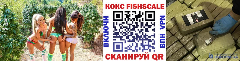 Cocaine FishScale Тогучин
